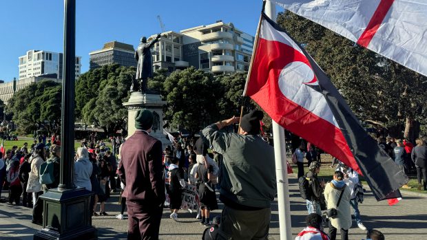 Lidé protestují před novozélandským parlamentem proti politice, kterou považují za diskriminační vůči původním obyvatelům