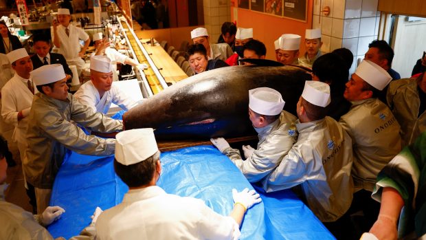 OG chce rybu podávat ve svých michelinských restauracích Ginza Onodera