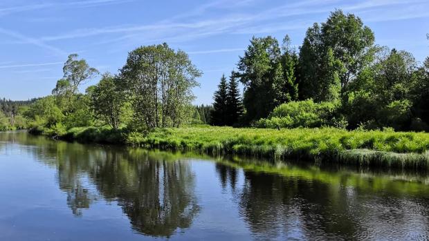 Teplá Vltava protéká první zónou Národního parku Šumava.