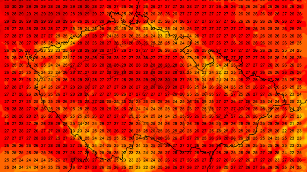 Na začátku týdne se do České republiky vrátí léto. Teploty budou v pondělí, úterý a ve středu atakovat hranici 30 stupňů Celsia a podle Českého hydrometeorologického ústavu ji i místy překročí