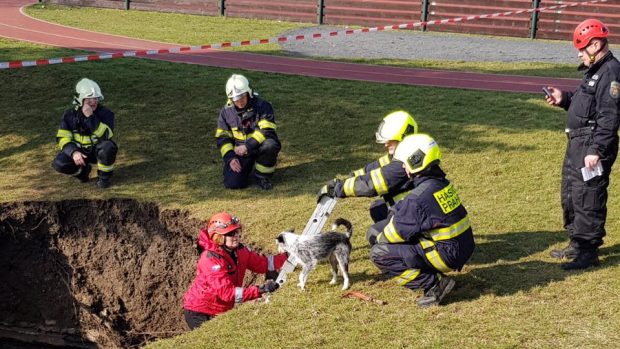 Psovodka se svým psem se chystají prohledat trosky střechy protiatomového krytu na pražském Černém Mostě.