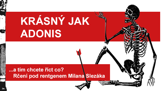 Rčení pod rentgenem Milana Slezáka: Krásný jak Adonis.