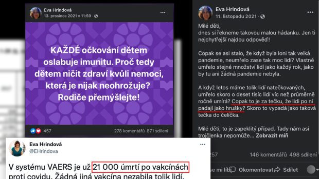 Ukázky toho, co Eva Hrdinová sdílela na sociálních sítích