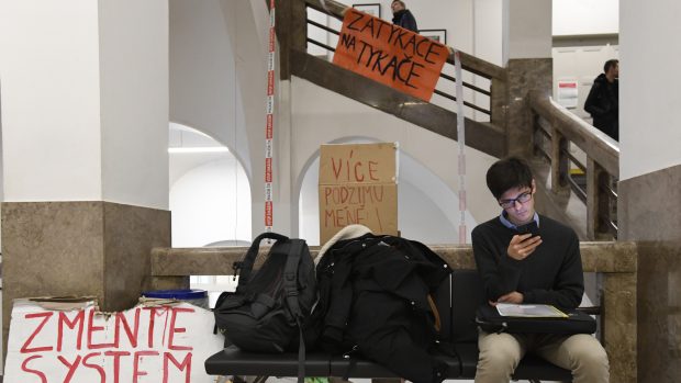 Společnost podle protestujících potřebuje změnu ve svém přístupu k životnímu prostředí a lidé by v tomto ohledu měli být aktivnější.