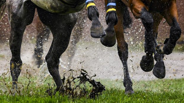 Úvodní závody Velké pardubické se jely v těžkých podmínkách.