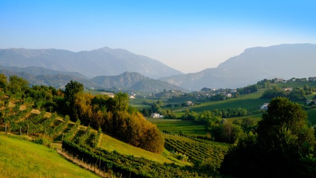 Krajina mezi městy Conegliano a Valdobbiadene na severovýchodě Itálie, z níž pochází šumivé víno prosecco.