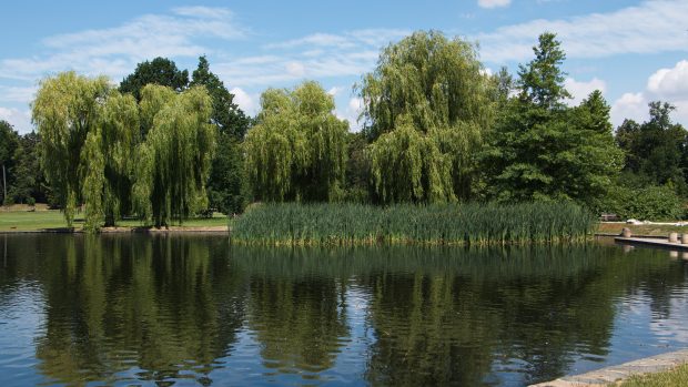 Park Stromovka.