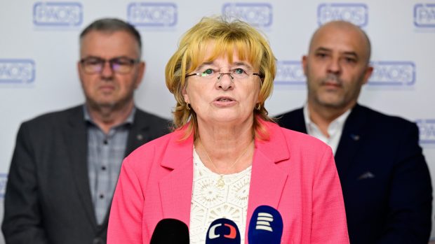 Předsedkyně Odborového svazu zdravotnictví a sociální péče ČR Dagmar Žitníková