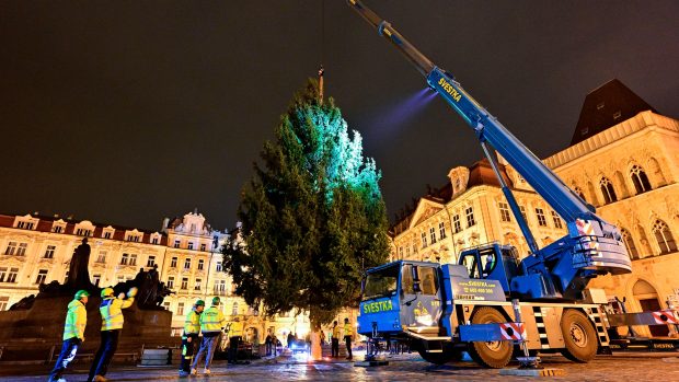 Technici usadili vánoční smrk na Staroměstské náměstí v Praze