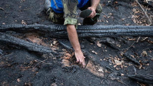 Geobotanik Michal Hejcman při odběru vzorků popela z požářiště v Českém Švýcarsku.