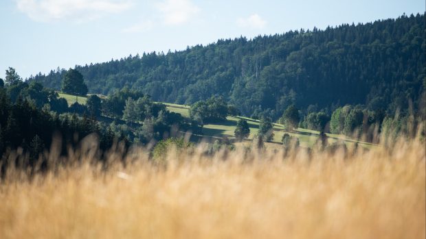 Podhorská louka, ilustrační foto