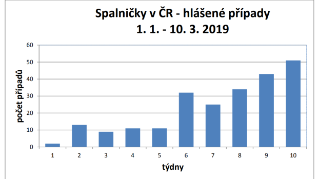 Spalničkami se letos nakazilo více lidí než za celý loňský rok.