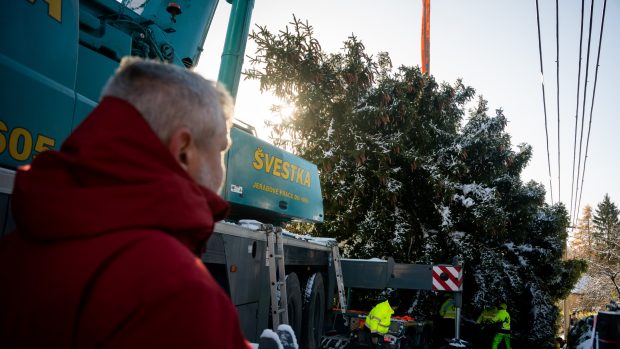 Na Staroměstském náměstí bude mít strom výšku 18 až 19 metrů