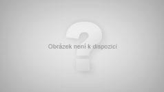 Politici CDU se radují z průběžných výsledků zemských voleb v Bádensku-Württembersku