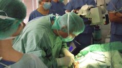 V Příbrami se učí operovat lékaři z celé Evropy
