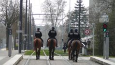 Tramvaje ve Štrasburku vystřídali policejní koně