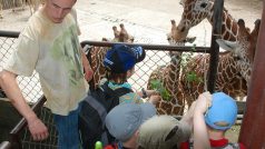 ZOO Dvůr Králové nad Labem