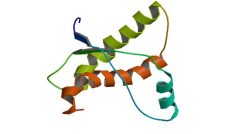 Prionový protein (PRNP)