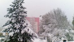 Čerstvý sníh v Jablonci nad Nisou (Liberecká ul.)