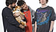 Animal Collective