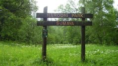 Vstup do NP Šumava nad Alžbětínem