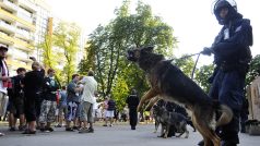 Nad průběhem demonstrace nespokojených fanoušků dohlížela policie