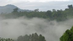 Pralesy Nové Guiney v ranním oparu