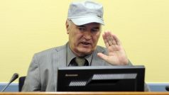 Ratko Mladič se i přes zdravotní komplikace k haagskému tribunálu dostavil