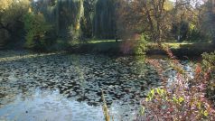 Bubeníkovy sady a Matiční jezero v Pardubicích v dnešní době