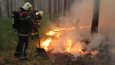 Hasiči bojují s lesním požárem u Bzence na Hodonínsku