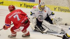 Utkání 3. kola extraligy HC Mountfield České Budějovice - Bílí Tygři Liberec 21. září v Českých Budějovicích. Peter Frühauf a Ondřej Pavelec z Liberce.