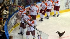 Hokejisté Olomouce slaví postup do extraligy