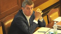 Poslanecká sněmovna 16.7.2014, Andrej Babiš