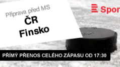 Hokejová příprava: ČR - Finsko