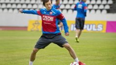 Tomáš Rosický je jediným reprezentantem, který byl v národním týmu už při porážce na Islandu v roce 2001