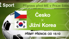 Příprava na ME: Česko - Jižní Korea