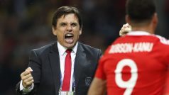 Takhle se Chris Coleman v pátek radoval z druhého gólu Walesu při výhře nad Belgií 3:1