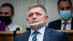 Bývalý slovenský premiér a předseda strany Smer Robert Fico