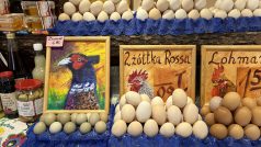 Vajíčka doprovází portréty plemene nosnic