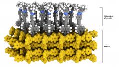 Vědcům pod vedením Jiřího Kalety z Ústavu organické chemie a biochemie AV ČR se podařilo připravit na povrchu pevného nosiče pravidelnou dvourozměrnou vrstvu tvořenou z molekulárních spínačů