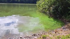Znečištěná voda v plumlovské přehradě