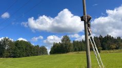 Ve východočeské krajině přibývají budky pro dravé ptáky. Daří se tak snižovat počty hrabošů a škůdců