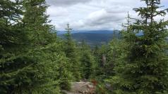 Národní park Šumava