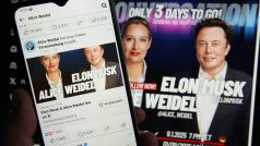 Elon Musk začal propagovat německou opoziční AfD