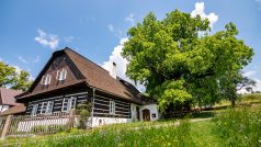 Soutěž Strom roku vyhrála Zpívající lípa z Pardubického kraje