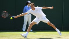 Český tenista Lukáš Rosol na Wimbledonu