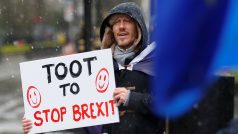 Muž protestující proti odchodu Velké Británie z Evropské unie s nápisem &quot;Zastav brexit, zatrub!&quot;