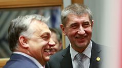 Andrej Babiš během jednání visegrádské čtyřky v Bruselu. V popředí maďarský premiér Viktor Orbán.