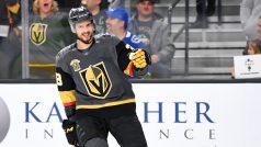 Útočník Tomáš Hyka slaví svůj premiérový gól za Las Vegas Knights