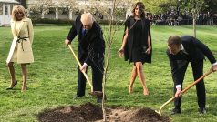 Prezidenti USA a Francie Donald Trump a Emmanuel Macron symbolicky zasadili v zahradách Bílého domu dub, přihlížely tomu jejich manželky.